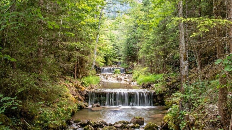 Wanderung Weißenbacher Wände - Touren-Impression #2.2 | © TV Gesäuse