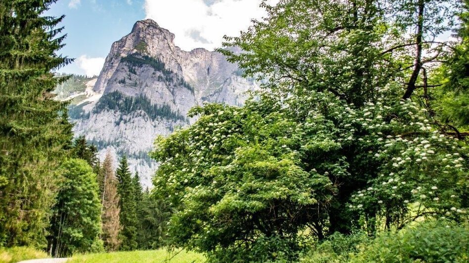 Wanderung Weißenbacher Wände - Touren-Impression #2.3 | © TV Gesäuse