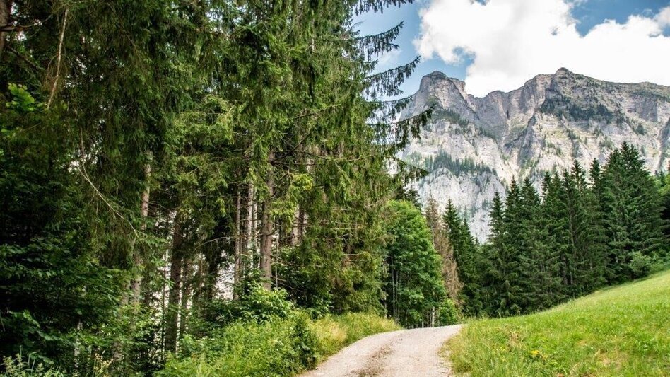 Wanderung Weißenbacher Wände - Touren-Impression #2.4 | © TV Gesäuse