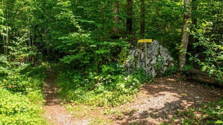 Wanderung Weißenbacher Wände - Touren-Impression #2.7 | © TV Gesäuse