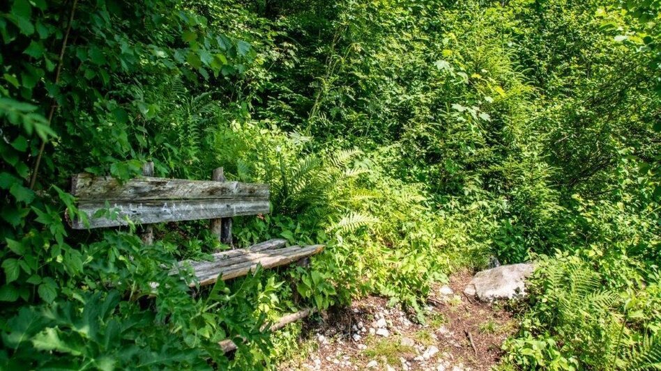 Wanderung Weißenbacher Wände - Touren-Impression #2.8 | © TV Gesäuse