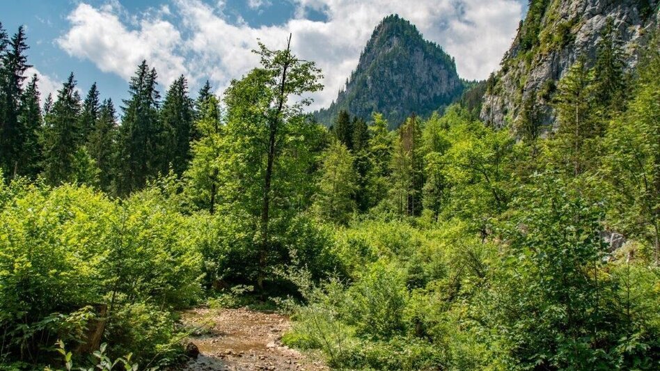 Wanderung Weißenbacher Wände - Touren-Impression #2.9 | © TV Gesäuse
