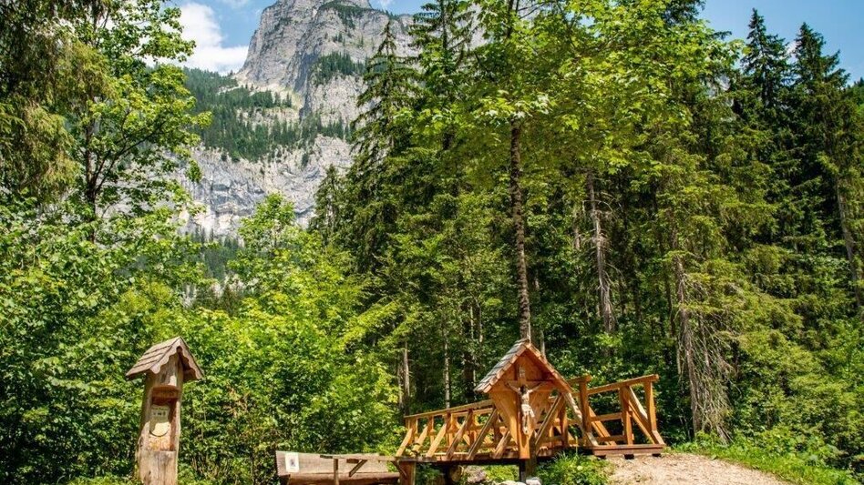 Wanderung Weißenbacher Wände - Touren-Impression #2.10 | © TV Gesäuse