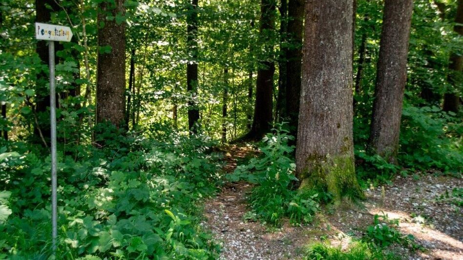 Wanderung Weißenbacher Wände - Touren-Impression #2.11 | © TV Gesäuse