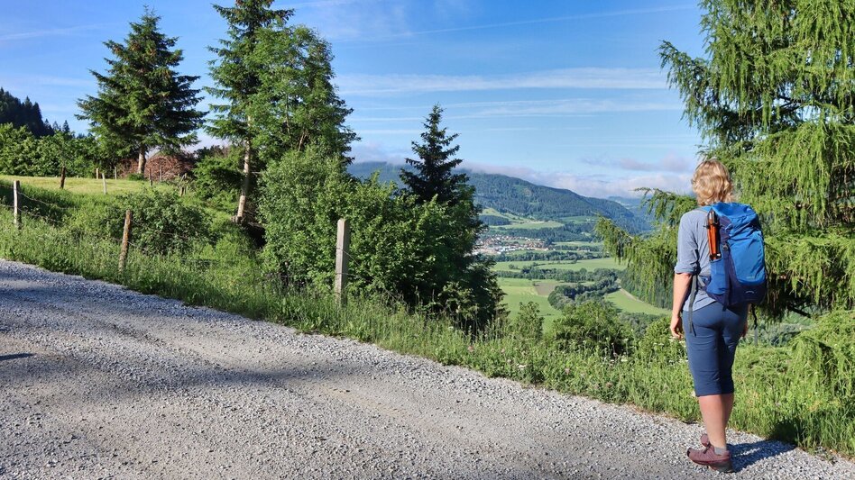 Wanderung Weißeck von Unzmarkt-Frauenburg - Touren-Impression #2.7 | © Weges OG