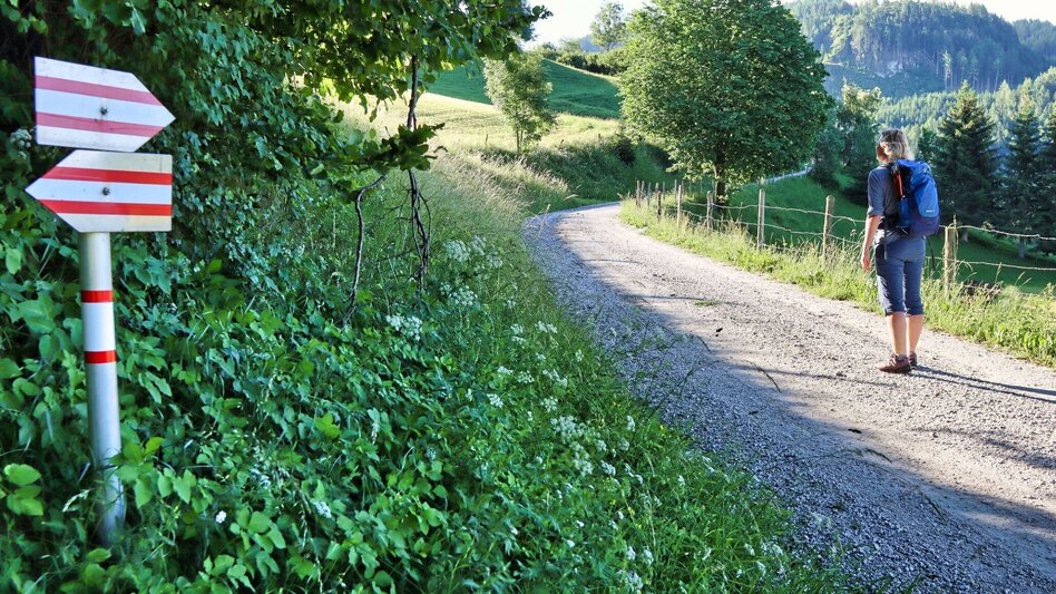 Wanderung Weißeck von Unzmarkt-Frauenburg - Touren-Impression #2.8 | © Weges OG