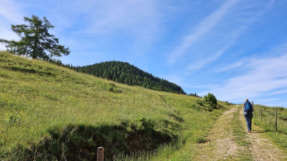 Wanderung Weißeck von Unzmarkt-Frauenburg - Touren-Impression #2.11 | © Weges OG