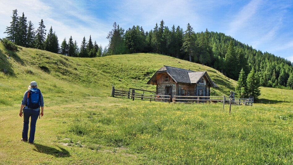 Wanderung Weißeck von Unzmarkt-Frauenburg - Touren-Impression #2.12 | © Weges OG