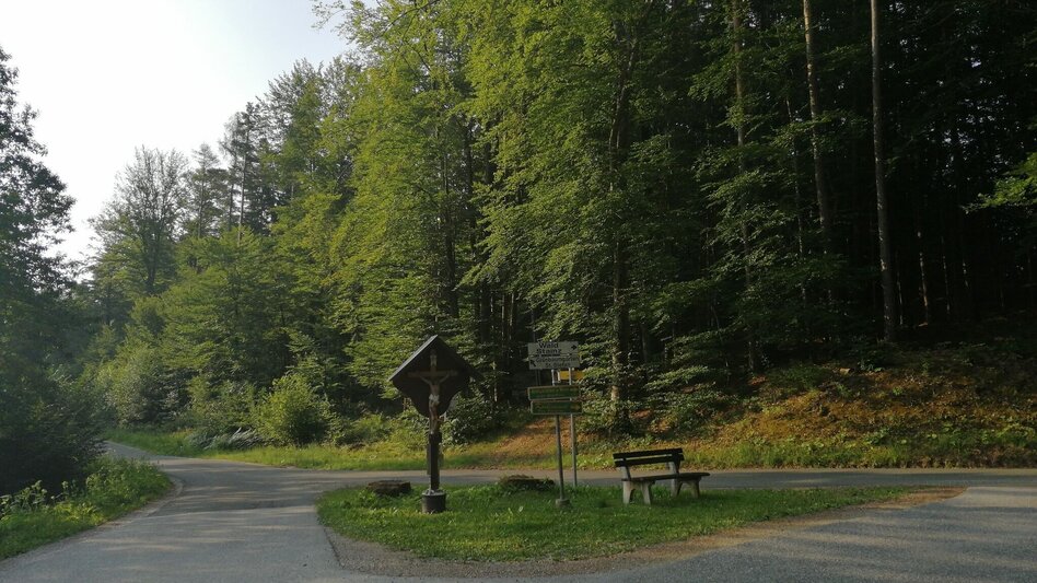 Jogging Look around Stainz - run - Touren-Impression #2.5 | © Schilcherland Steiermark