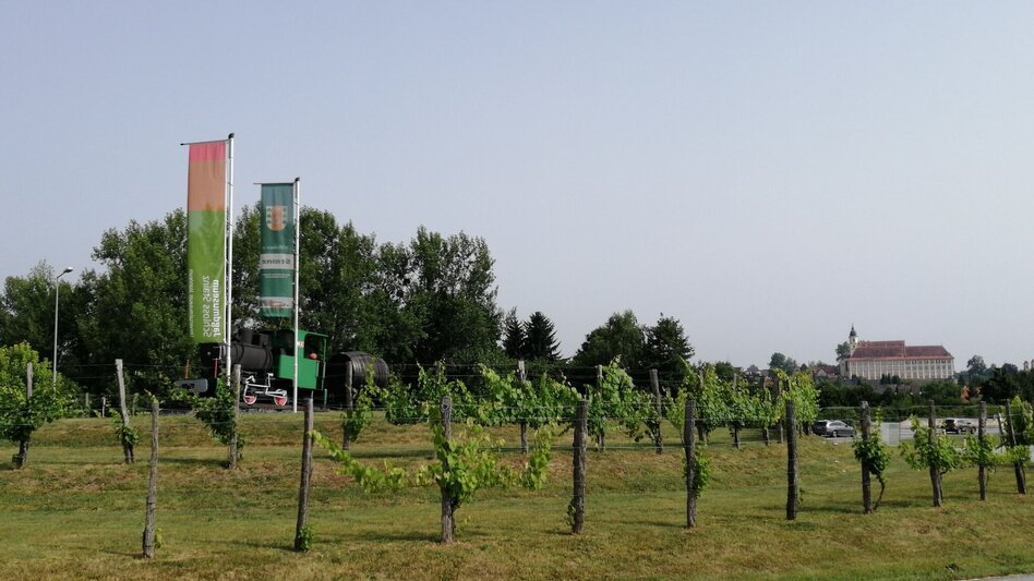Jogging Look around Stainz - run - Touren-Impression #2.9 | © Schilcherland Steiermark