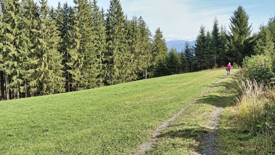 Wanderung 28e-Seckau - Dürnberg Rundwanderweg - Touren-Impression #2.1 | © Weges OG