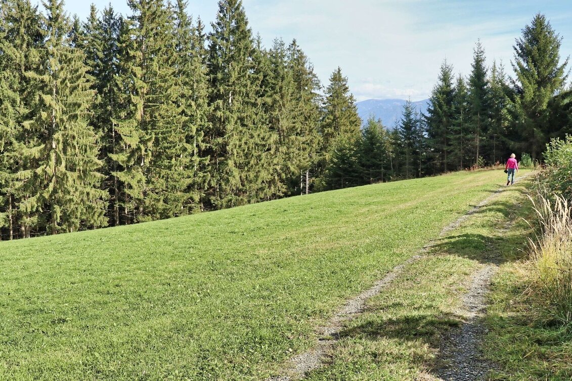 Wanderung 28e-Seckau - Dürnberg Rundwanderweg - Touren-Impression #1 | © Weges OG