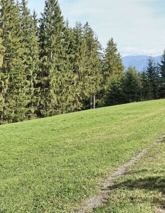Wandern über Wiesenwege | Weges OG | © Weges OG