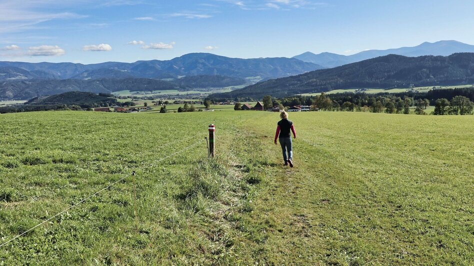 Wanderung 28e-Seckau - Dürnberg Rundwanderweg - Touren-Impression #2.3 | © Weges OG