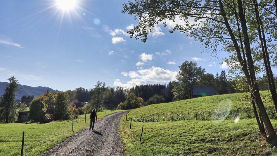 Wanderung 28e-Seckau - Dürnberg Rundwanderweg - Touren-Impression #2.5 | © Weges OG