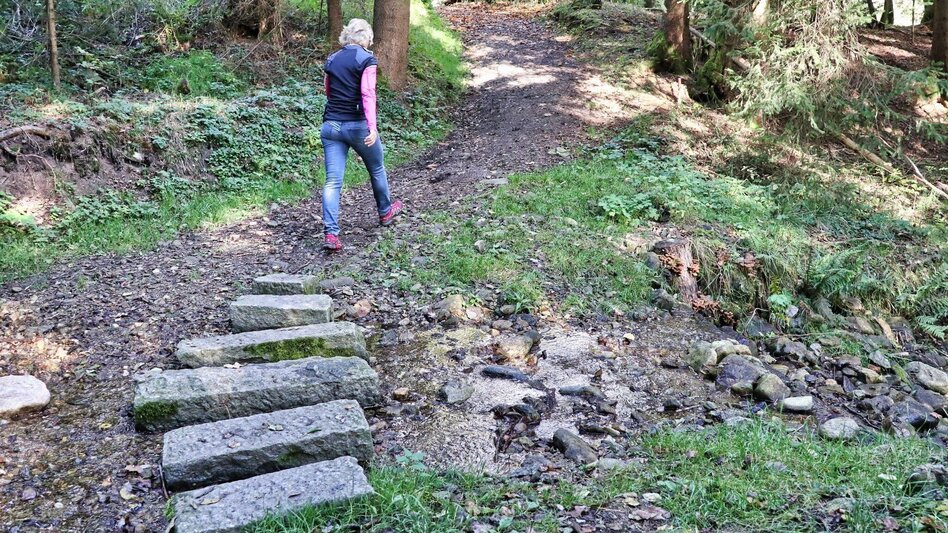 Wanderung 28e-Seckau - Dürnberg Rundwanderweg - Touren-Impression #2.8 | © Weges OG