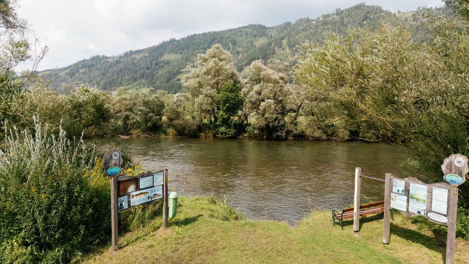 Wasserwege Rundwanderweg zum AuErlebnisweg in St.Peter ob Judenburg - Touren-Impression #2.1 | © Karl Steinegger