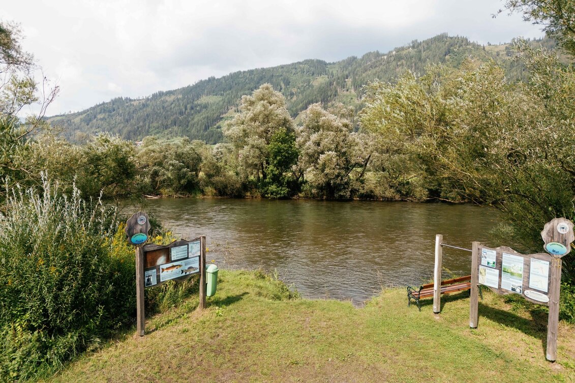 Wasserwege Rundwanderweg zum AuErlebnisweg in St.Peter ob Judenburg - Touren-Impression #1 | © Karl Steinegger
