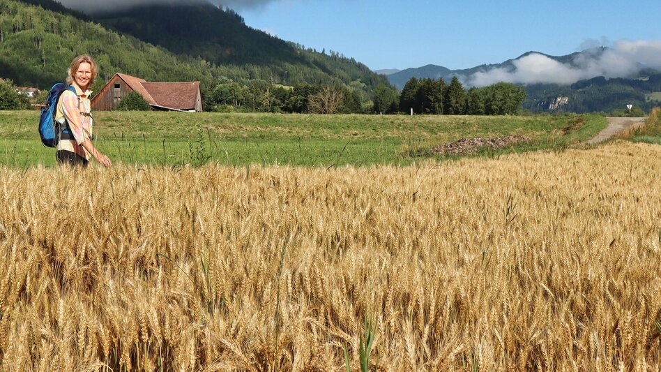 Wasserwege Rundwanderweg zum AuErlebnisweg in St.Peter ob Judenburg - Touren-Impression #2.2 | © Weges OG