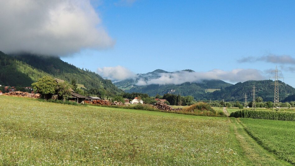 Wasserwege Rundwanderweg zum AuErlebnisweg in St.Peter ob Judenburg - Touren-Impression #2.4 | © Weges OG