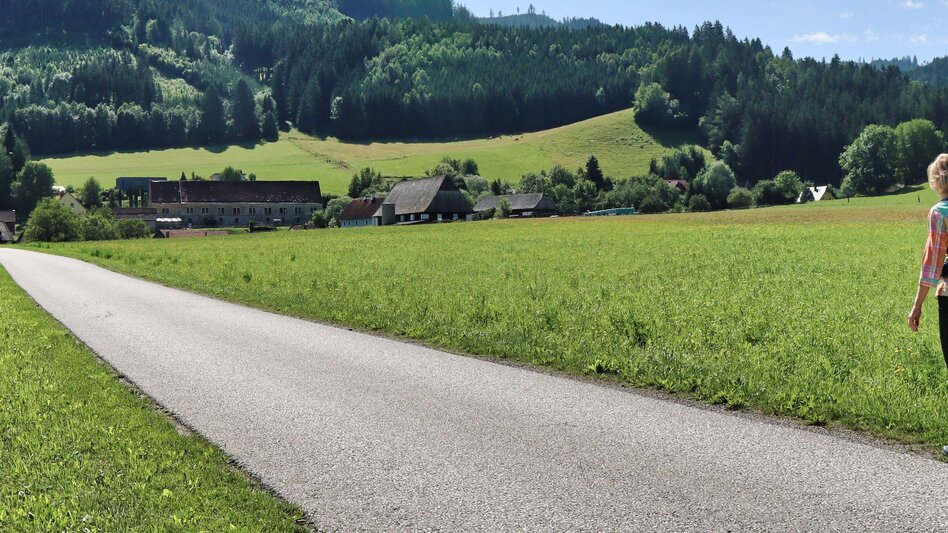 Wasserwege Rundwanderweg zum AuErlebnisweg in St.Peter ob Judenburg - Touren-Impression #2.15 | © Weges OG