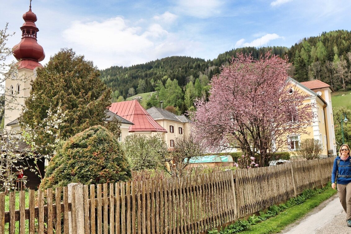 Wanderung Habring von Oberzeiring über Bauernhof vlg. Freitag - Touren-Impression #1 | © Weges OG