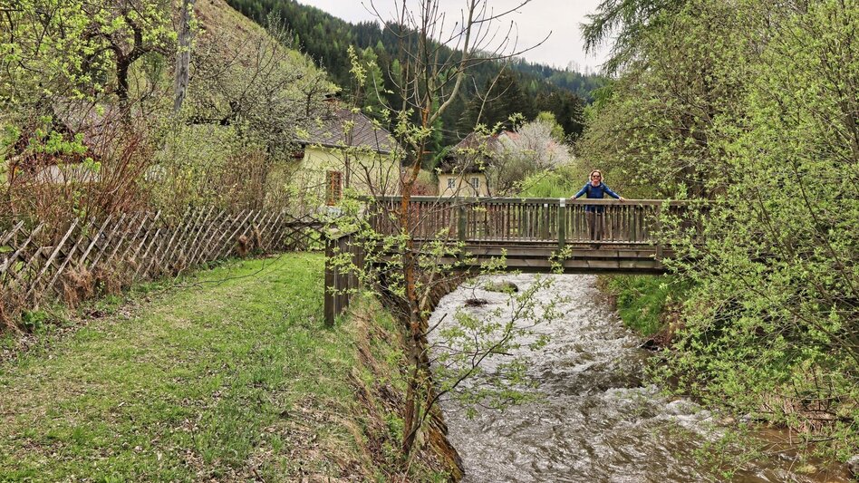 Wanderung Habring von Oberzeiring über Bauernhof vlg. Freitag - Touren-Impression #2.2 | © Weges OG
