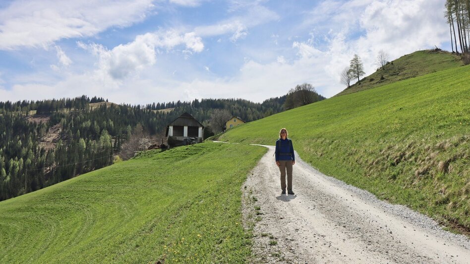 Wanderung Habring von Oberzeiring über Bauernhof vlg. Freitag - Touren-Impression #2.6 | © Weges OG