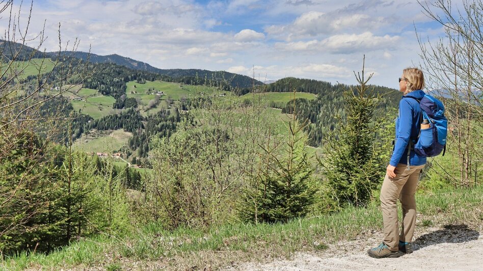 Wanderung Habring von Oberzeiring über Bauernhof vlg. Freitag - Touren-Impression #2.8 | © Weges OG