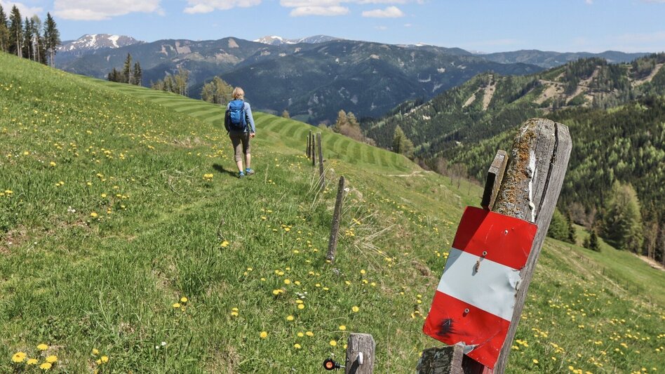 Wanderung Habring von Oberzeiring über Bauernhof vlg. Freitag - Touren-Impression #2.9 | © Weges OG