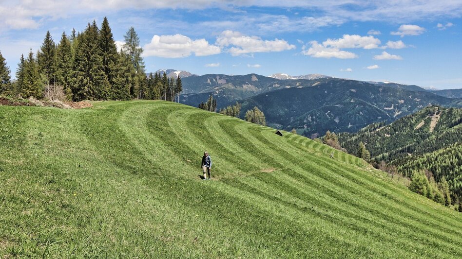 Wanderung Habring von Oberzeiring über Bauernhof vlg. Freitag - Touren-Impression #2.10 | © Erlebnisregion Murtal
