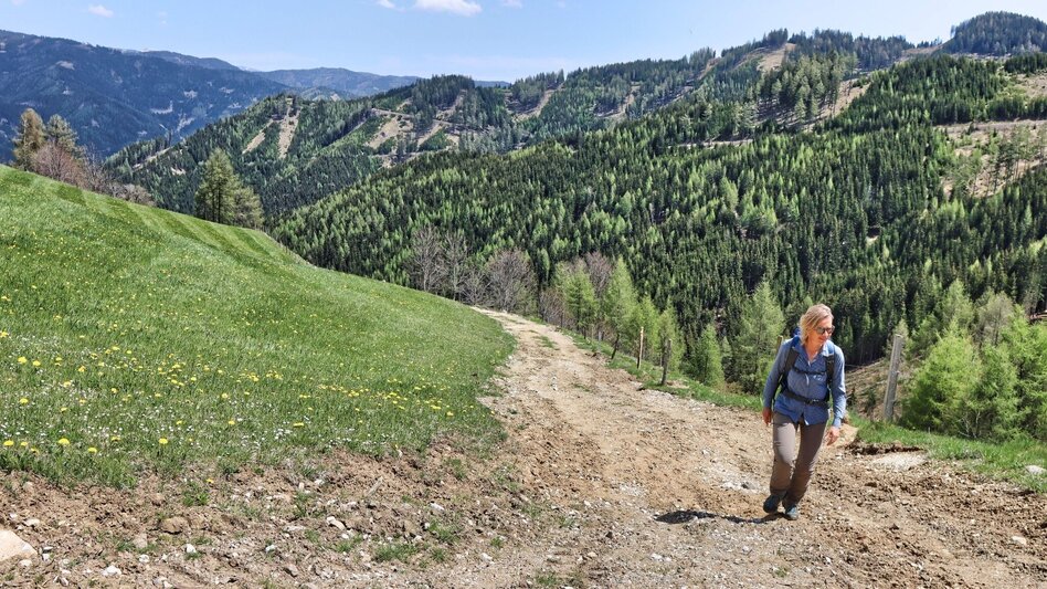 Wanderung Habring von Oberzeiring über Bauernhof vlg. Freitag - Touren-Impression #2.11 | © Weges OG