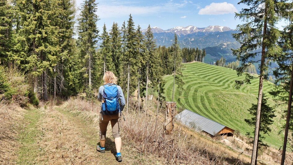 Wanderung Habring von Oberzeiring über Bauernhof vlg. Freitag - Touren-Impression #2.12 | © Weges OG
