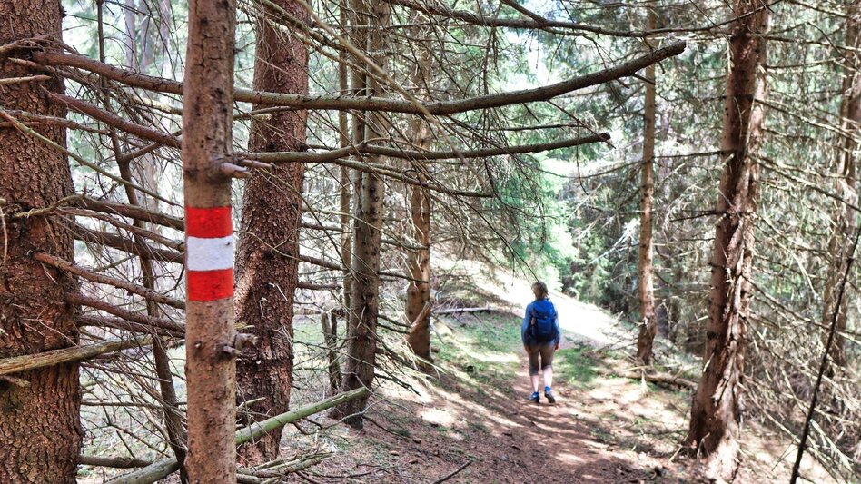 Wanderung Habring von Oberzeiring über Bauernhof vlg. Freitag - Touren-Impression #2.13 | © Weges OG