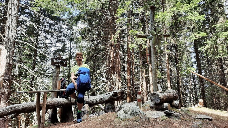 Hiking route Habring via Greimegger - Touren-Impression #2.1 | © Weges OG