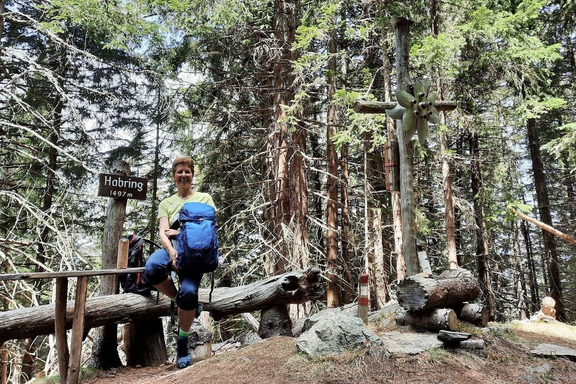 Hiking route Habring via Greimegger - Touren-Impression #1 | © Weges OG