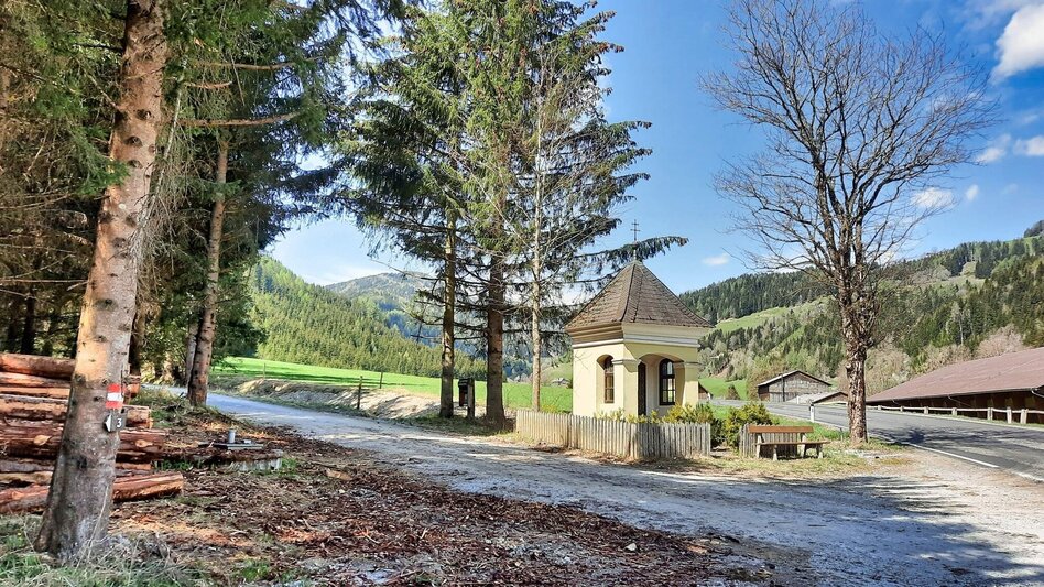 Hiking route Habring via Greimegger - Touren-Impression #2.2 | © Weges OG