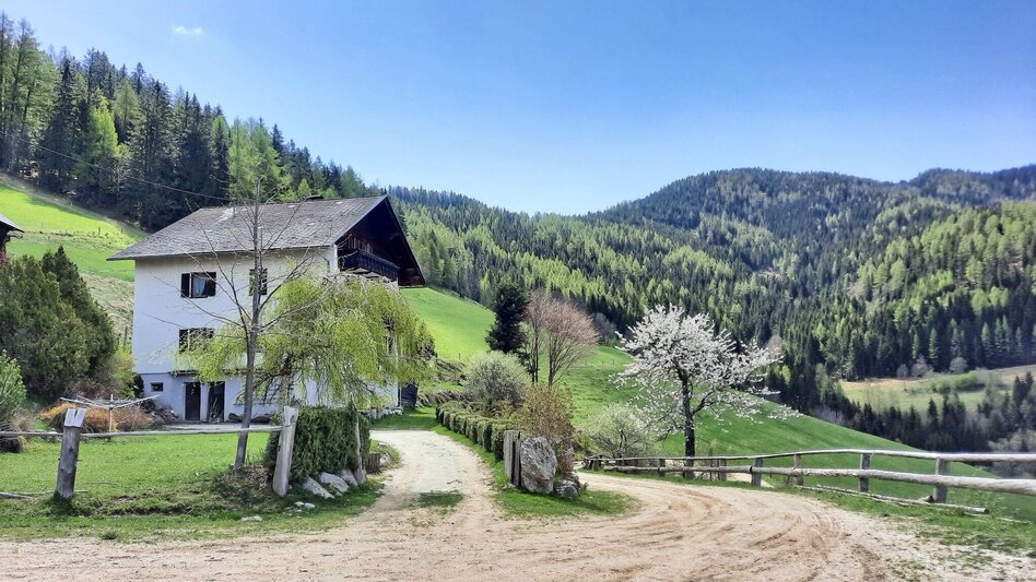 Hiking route Habring via Greimegger - Touren-Impression #2.3 | © Weges OG