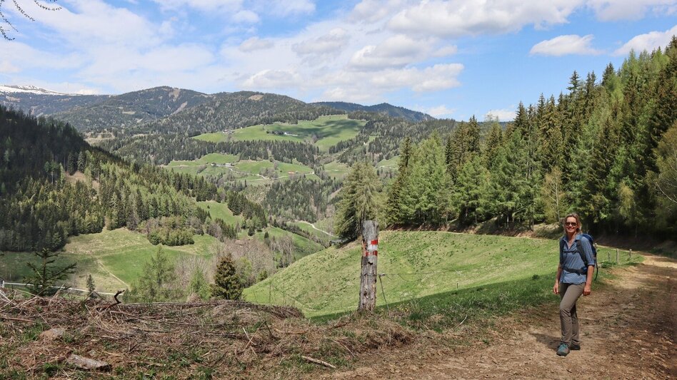 Hiking route Habring via Greimegger - Touren-Impression #2.4 | © Weges OG
