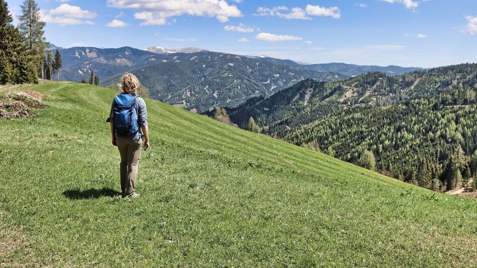 Hiking route Habring via Greimegger - Touren-Impression #2.5 | © Weges OG