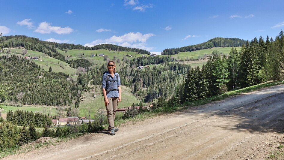 Hiking route Habring via Greimegger - Touren-Impression #2.6 | © Weges OG