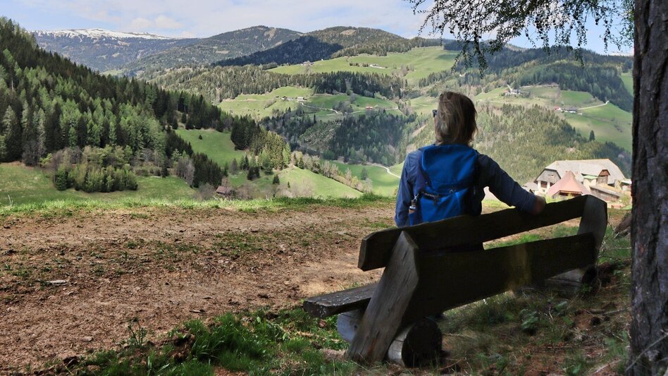 Hiking route Habring via Greimegger - Touren-Impression #2.9 | © Weges OG