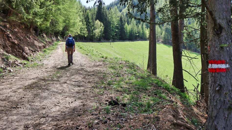 Hiking route Habring via Greimegger - Touren-Impression #2.10 | © Weges OG