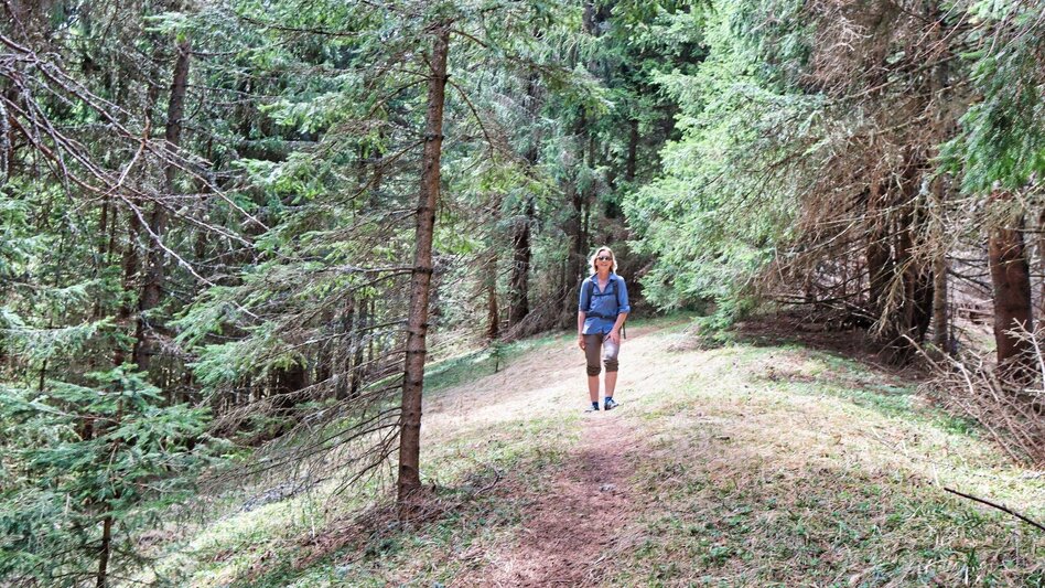 Hiking route Habring via Greimegger - Touren-Impression #2.11 | © Weges OG