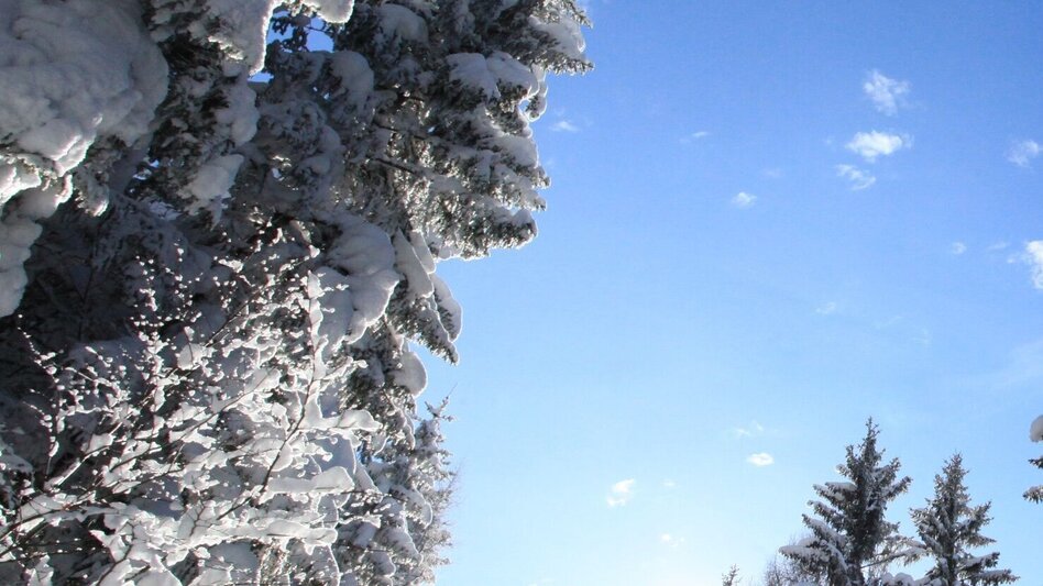 Winter Hiking Wintery Marterlweg Route 3 - Touren-Impression #2.2 | © Tourismusverband ERZBERG LEOBEN