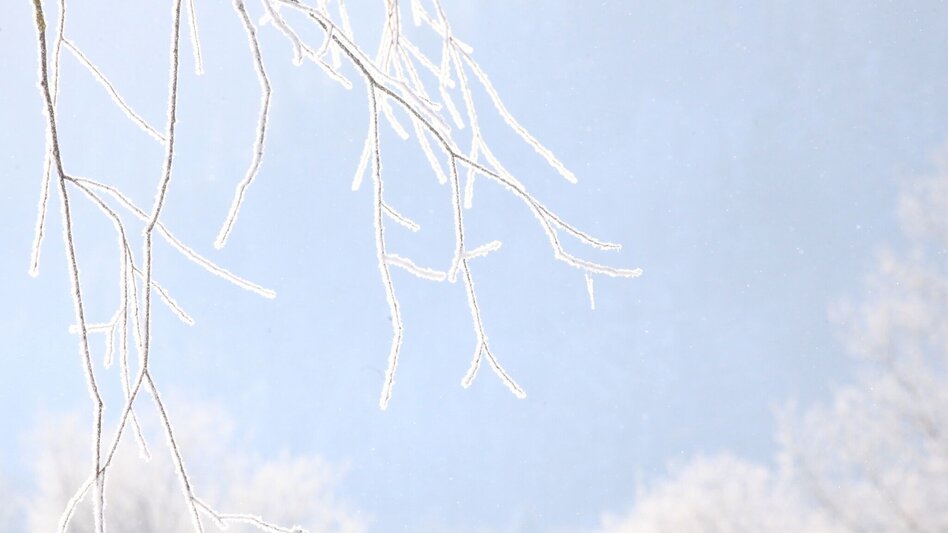 Winter Hiking Wintery Marterlweg Route 3 - Touren-Impression #2.3 | © Tourismusverband ERZBERG LEOBEN
