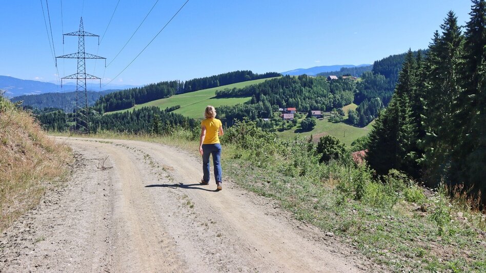 Wanderung Rundwanderung von Knittelfeld nach Großlobming - Touren-Impression #2.7 | © Weges OG