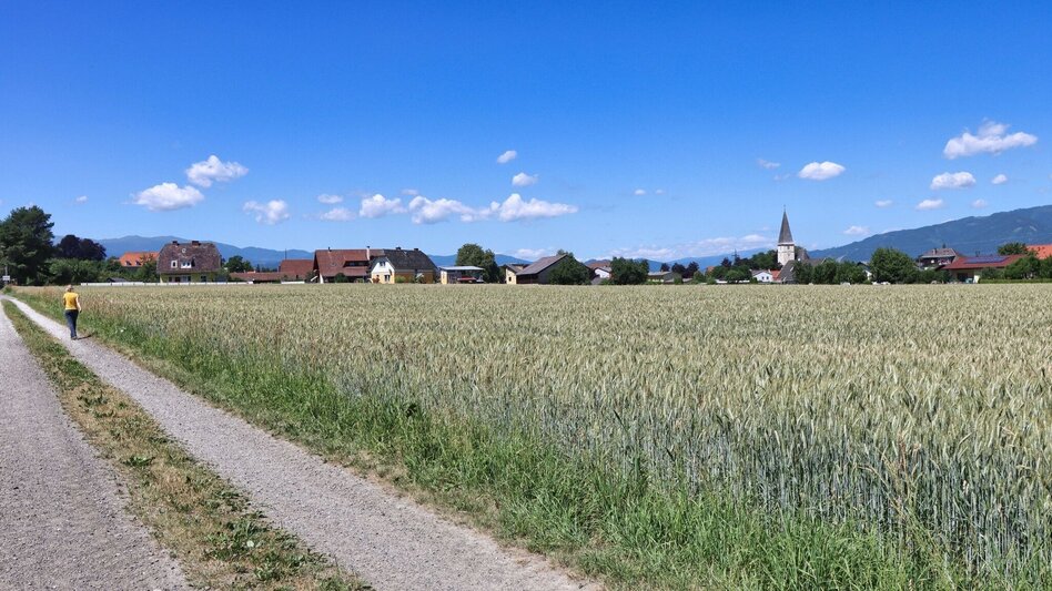 Wanderung Rundwanderung von Knittelfeld nach Großlobming - Touren-Impression #2.11 | © Weges OG
