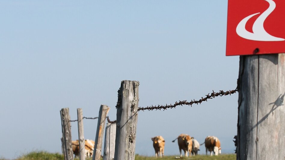 Wanderung "alpannonia" - Zubringer: Vorau - Mönichwald - Hochwechsel, Vorau - Touren-Impression #2.5 | © Oststeiermark Tourismus