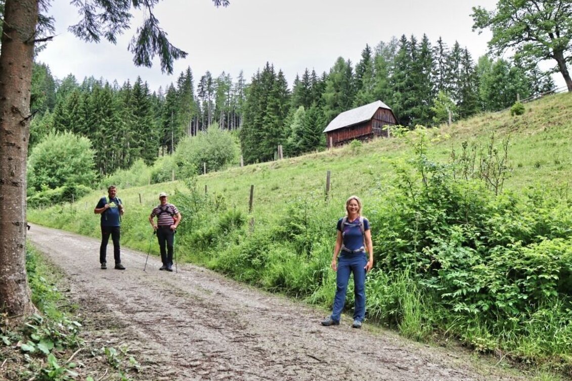 Hiking route Rabenstein from Mautern - Touren-Impression #1 | © Tourismusverband ERZBERG LEOBEN